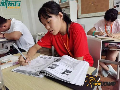 楠晟网络 一支年轻团队的数字创业之路